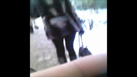 20120