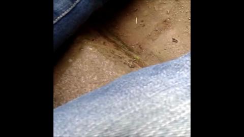 6201