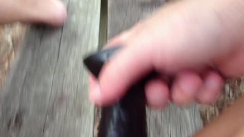 13597