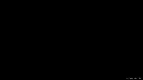 29511