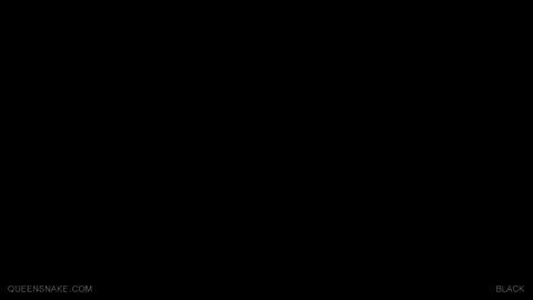 19388